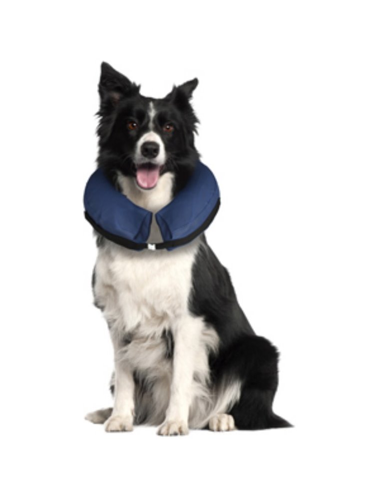 Opblaasbare hondenkraag m