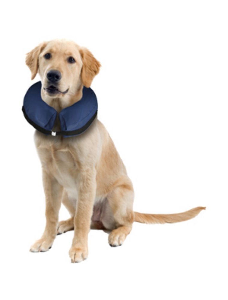 Opblaasbare hondenkraag l