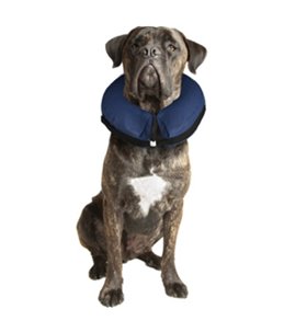 Opblaasbare hondenkraag xl