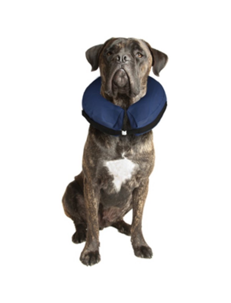 Opblaasbare hondenkraag xl