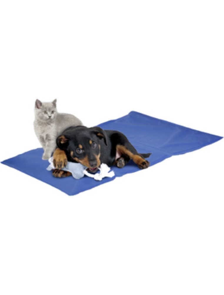 Koelmat fresk - s (40x50cm)