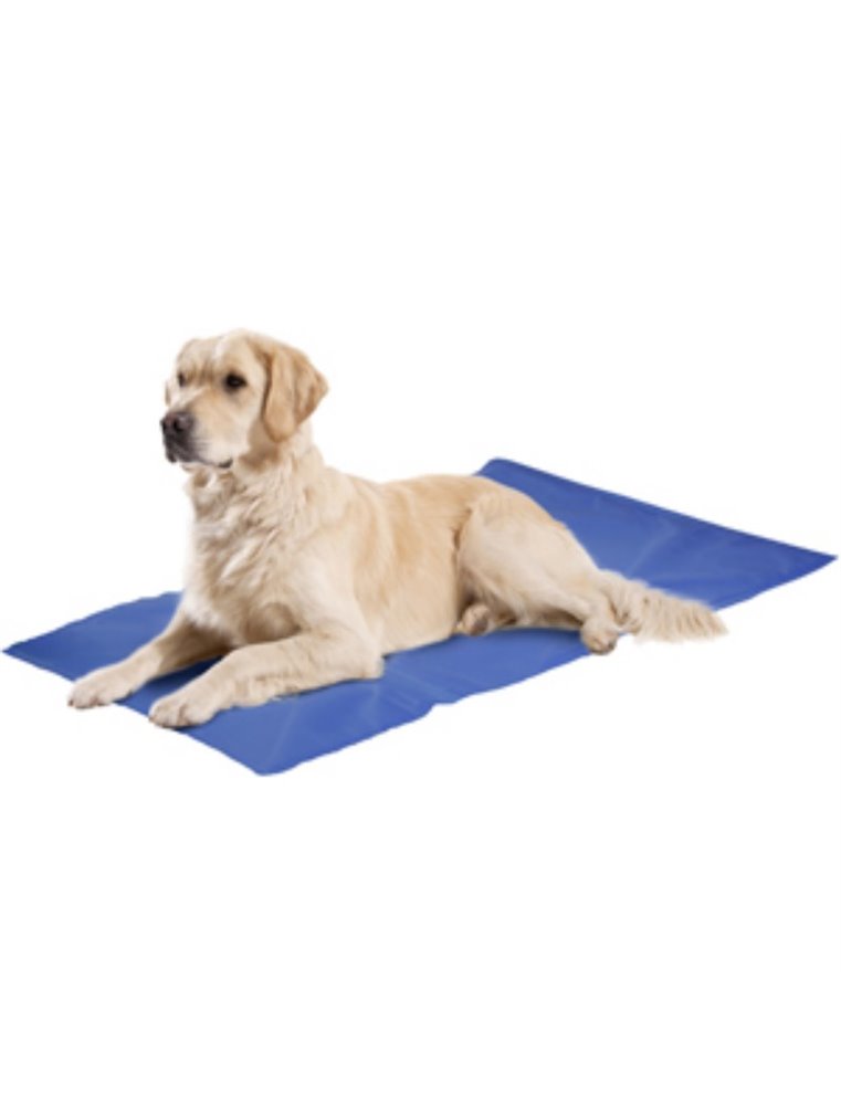 Koelmat fresk - l (50x90cm)