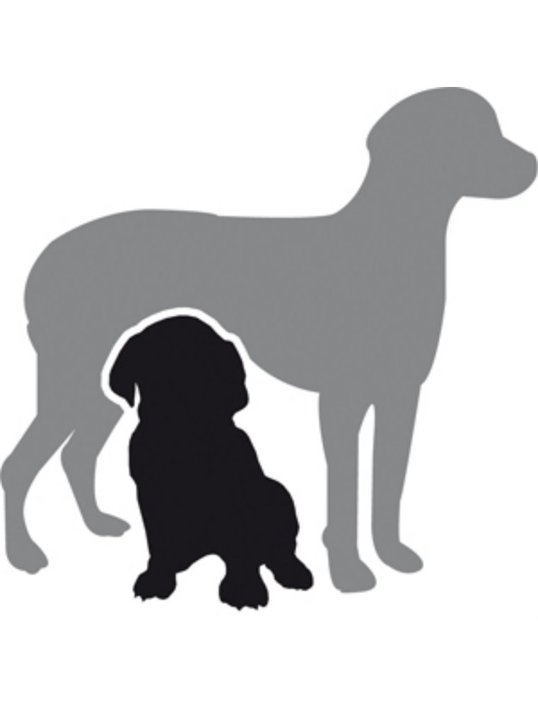 Hondenluiers dipy 12 st. - l