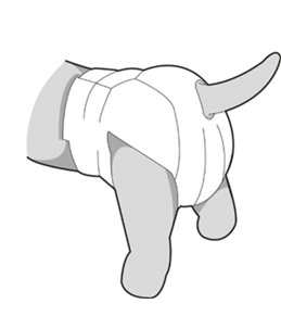 Hondenluiers dipy 12 st. - xl