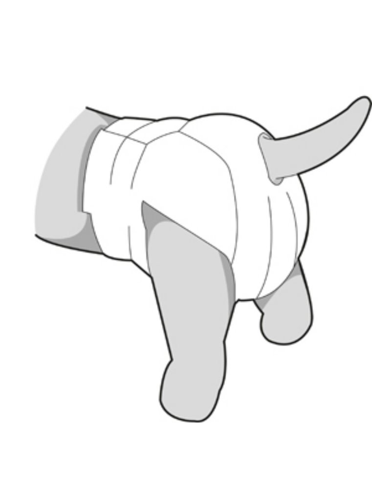 Hondenluiers dipy 12 st. - xl