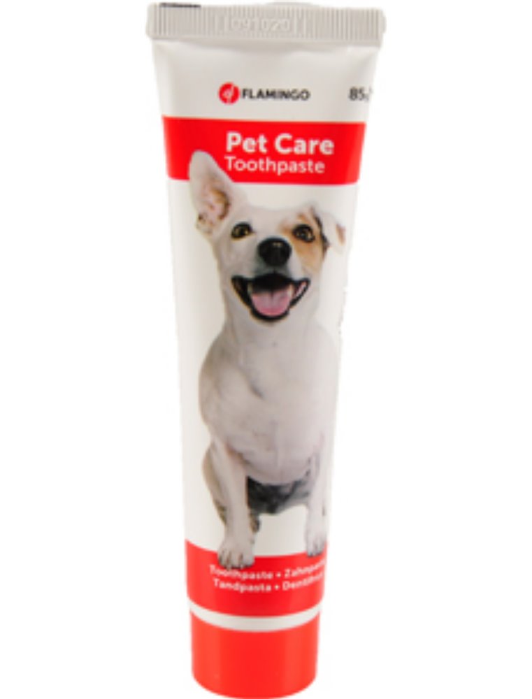 Tandpasta 85gr