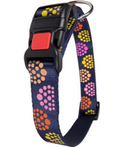 Duetto lam & rijst - l 1st 