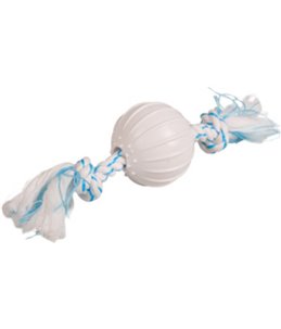Denta toy touw met nylon bal