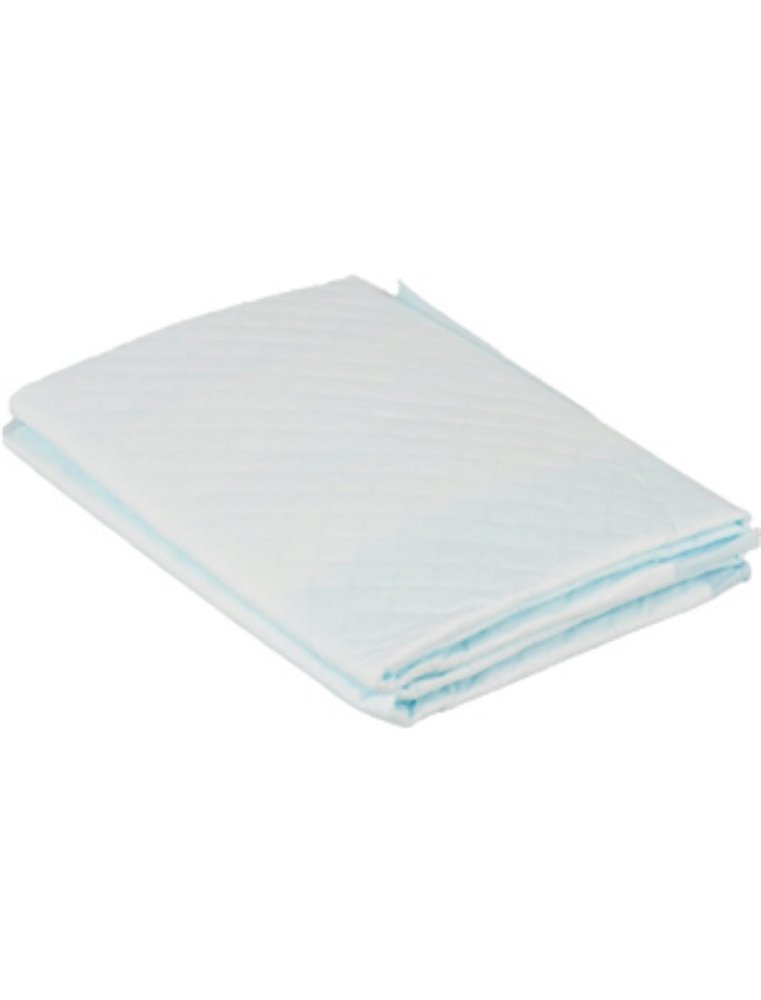 Puppy trainingsmat s 20st 45x35cm