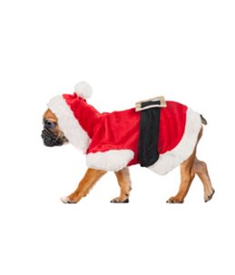 Hondentrui kerstman kostuum 40cm