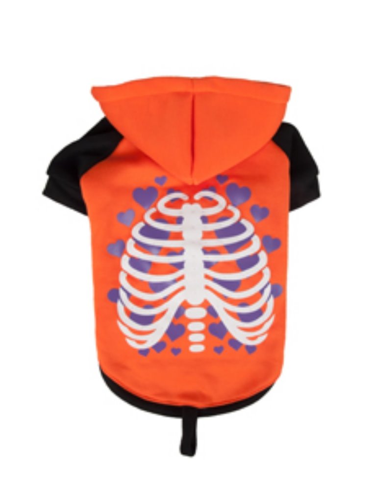 Hondentrui ríntgenfoto led 35cm