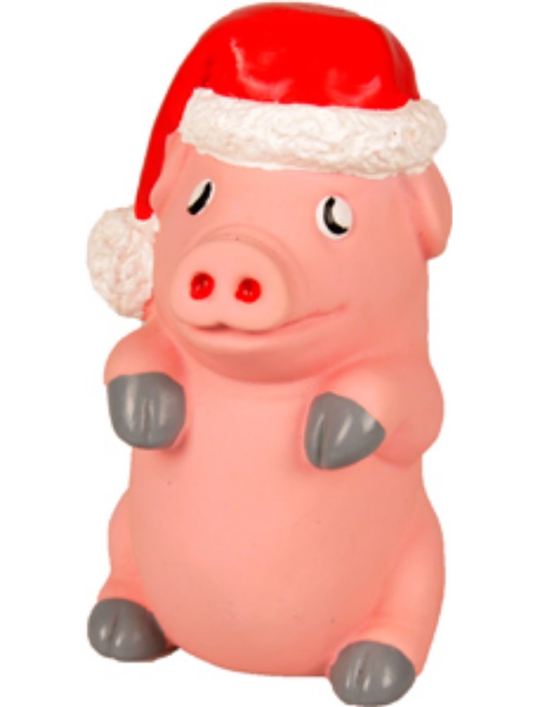 Kerst hs latex fun disp