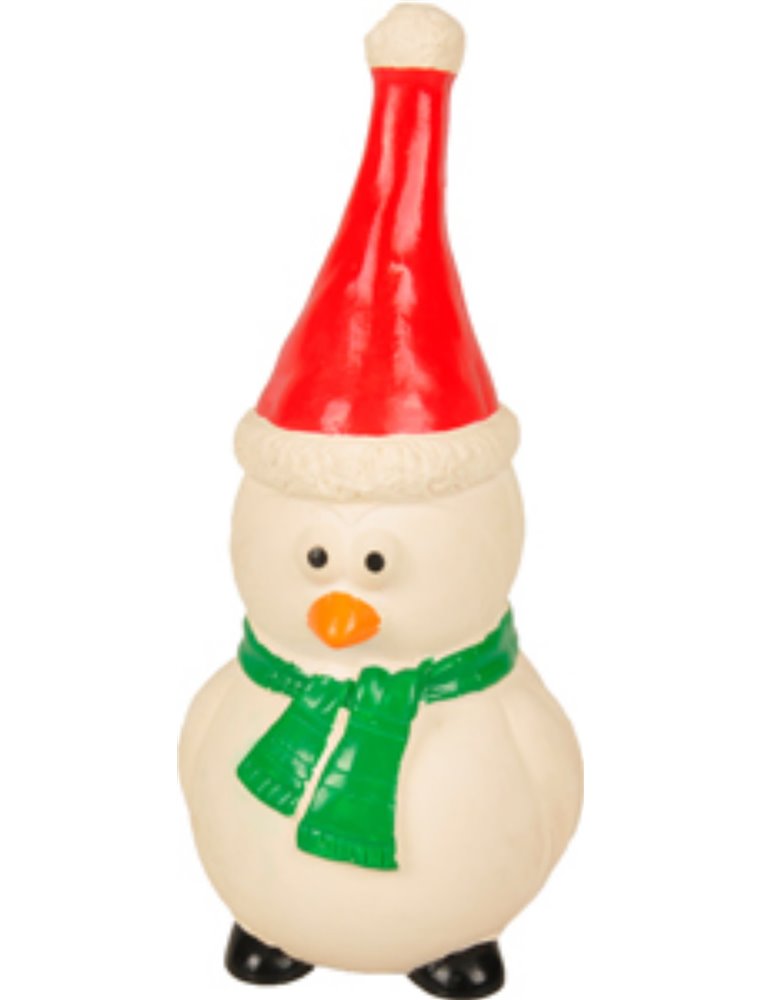 Kerst hs latex fun disp