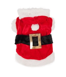 Hondentrui kerstman kostuum 15cm