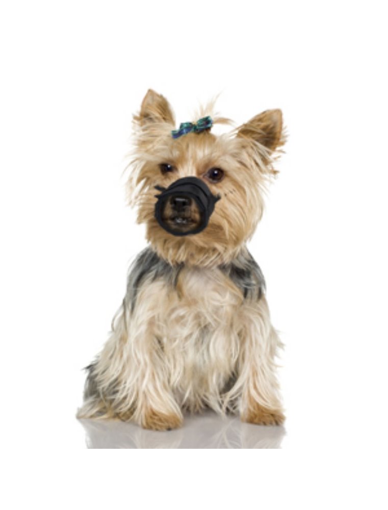 Muilband zacht xs 30-42cm neusomtrek 18-23cm zwart