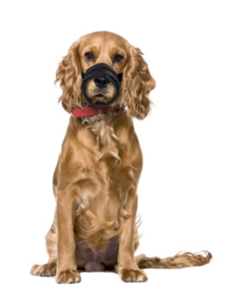 Muilband zacht s 35-48cm neusomtrek 20-25cm zwart