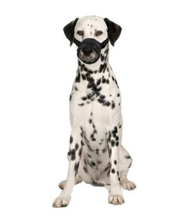 Muilband zacht s/m 37-65cm neusomtrek 23-28cm zwart