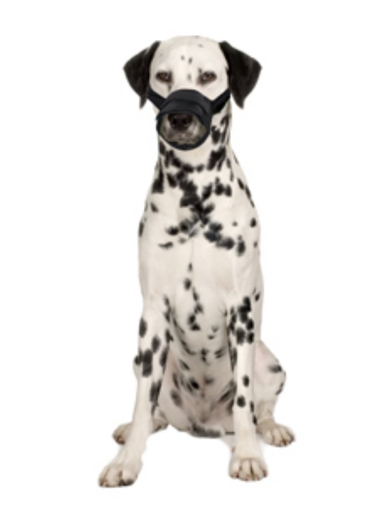 Muilband zacht s/m 37-65cm neusomtrek 23-28cm zwart