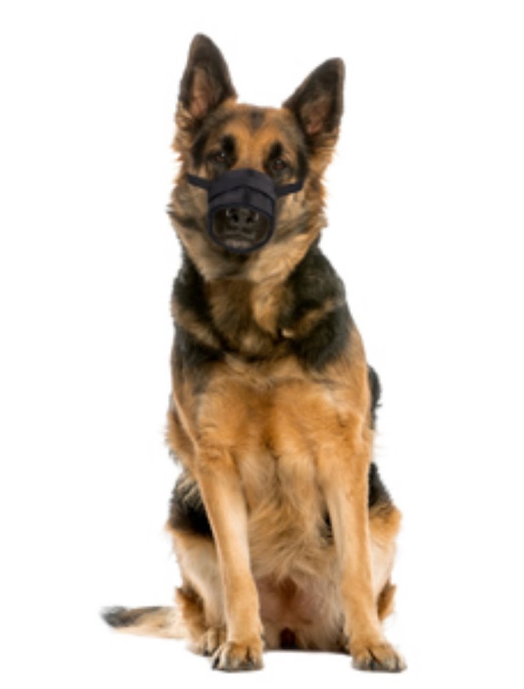 Muilband zacht l 49-80cm neusomtrek 25-32cm zwart