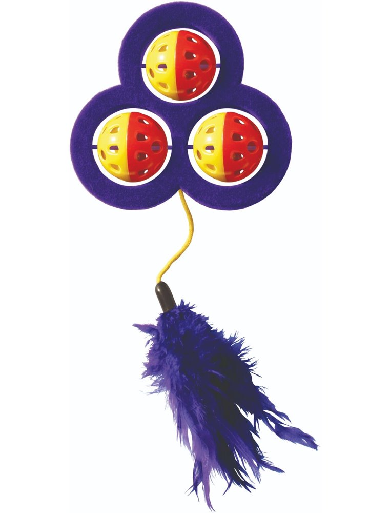 Kong cat chase craze