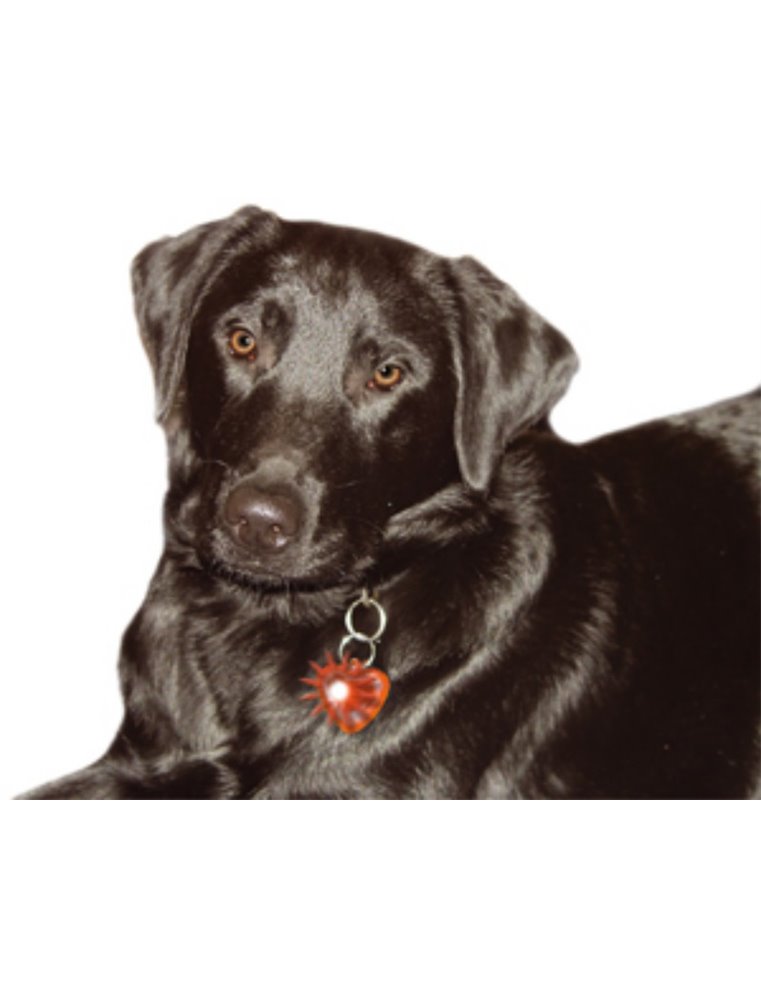 Blinki licht hart in display