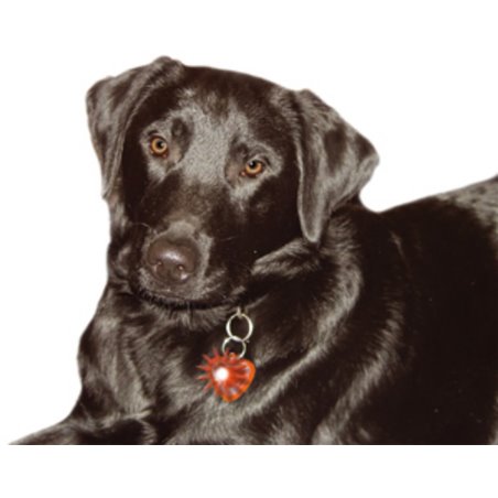 Blinki licht hart in display 