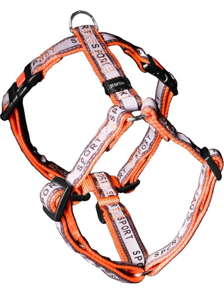 Ajp sport tuig oranje 45-70cm20mm