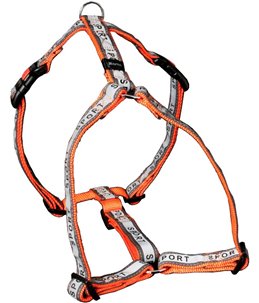 Ajp sport tuig oranje 65-100cm25mm 