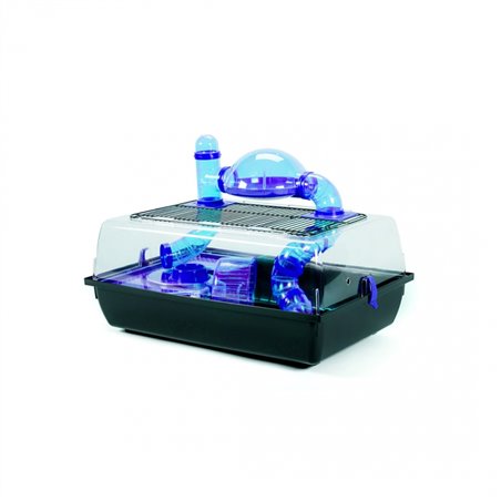 Kooi alex met panorama