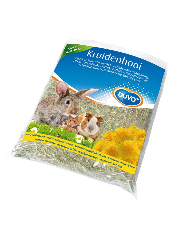 Kruidenhooi Paardenbloem