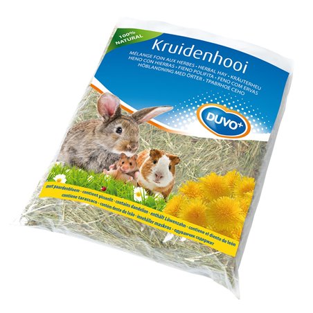 Kruidenhooi paardenbloem