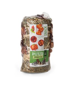 PUUR Pauze Hooirol Fruit