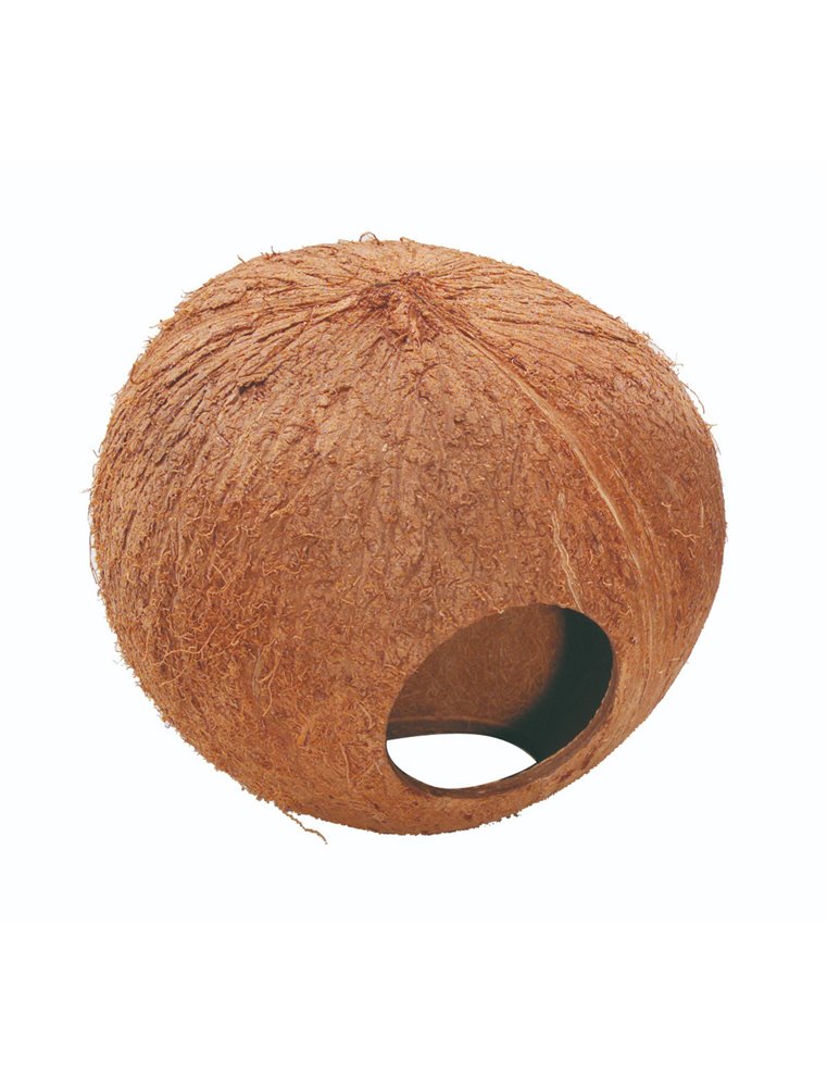 Coconut Huis