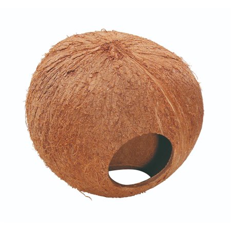 Coconut huis