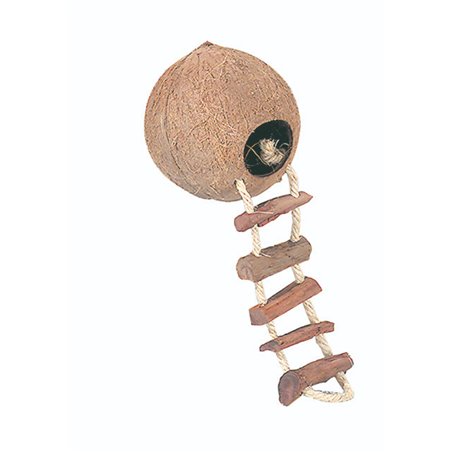 Coconut huis met ladder