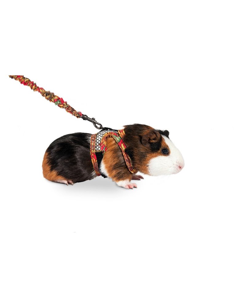 Art joy comfort fret-&caviatuig