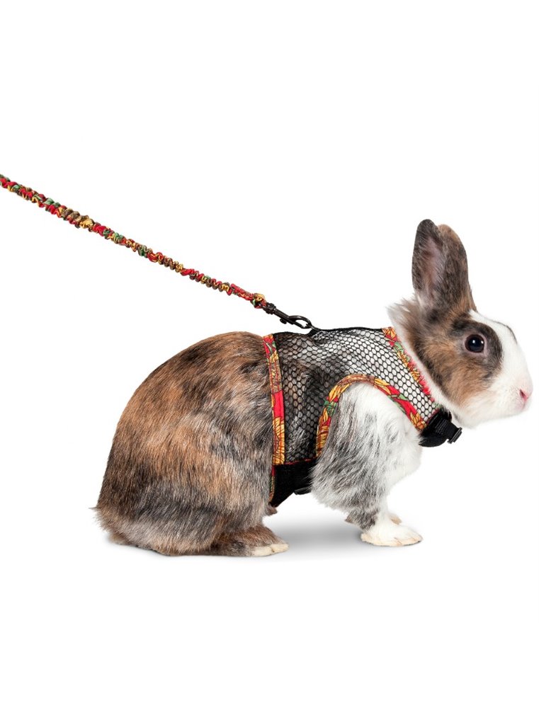 Art joy comfort konijnentuig