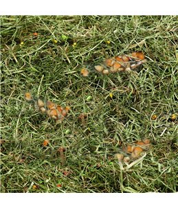 Berghooi met tarwe en mais 500gr