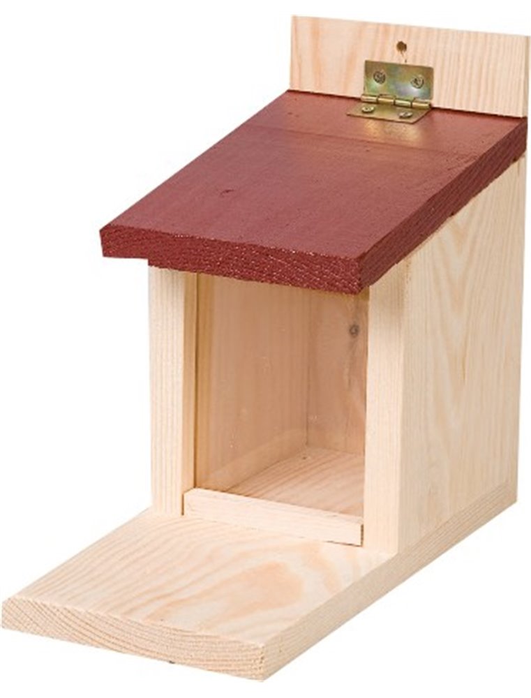 Voederhuis eekhoorn scrat 10