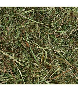 Berghooi met munt 500gr.