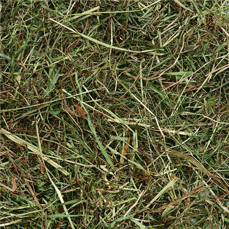 Berghooi met munt 500gr. 