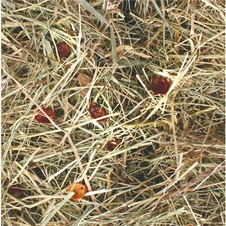 Berghooi met rozenbottel 500gr 