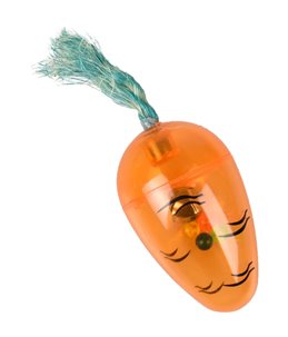 Ks carry wortel rammelaar 11x4x4cm 