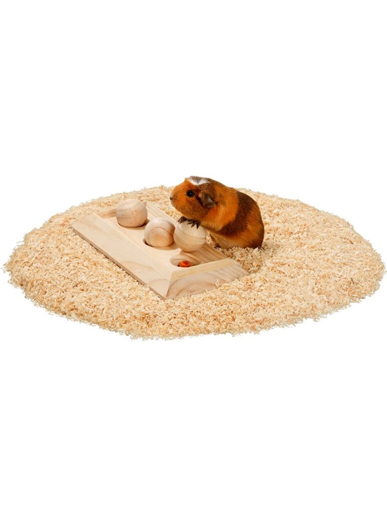 Rody brain train plaat - 3 kogels