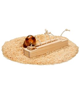 Rody brain train kast - 6 blokken