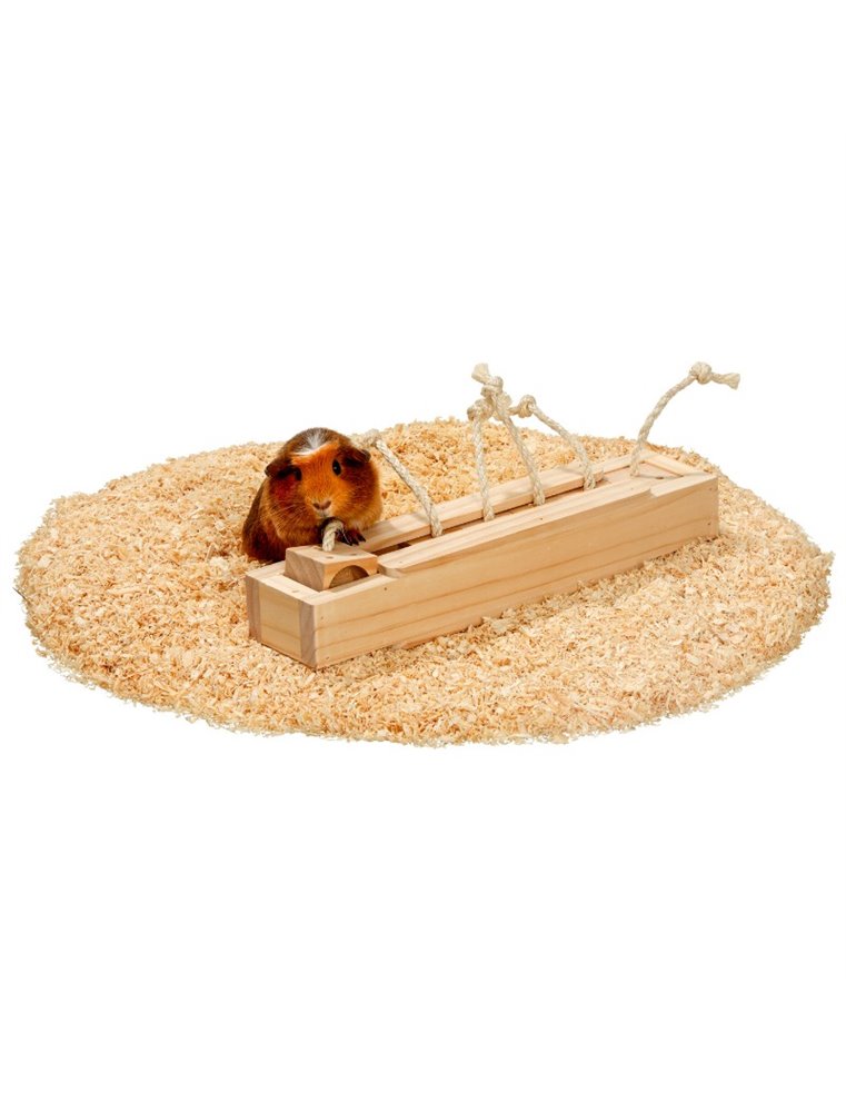 Rody brain train kast - 6 blokken