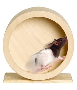 Bogie rad houten wonderland 20cm