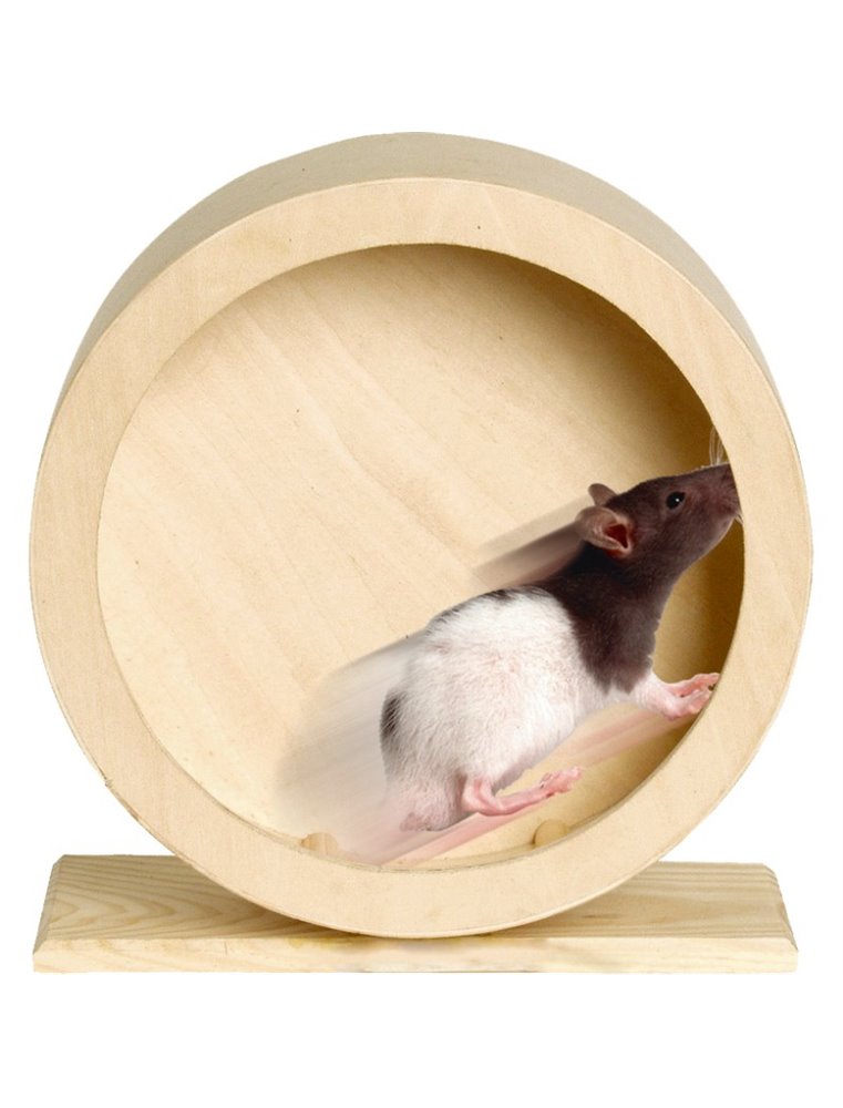 Bogie rad houten wonderland 20cm