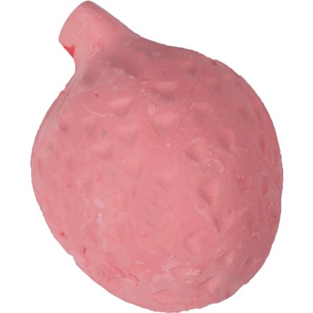 Knaagsteen aardbei 25g 