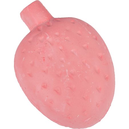 Knaagsteen aardbei 65g 